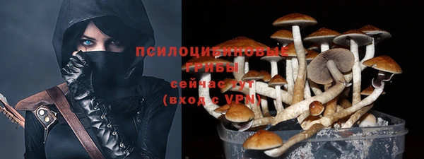 крисы Богородицк