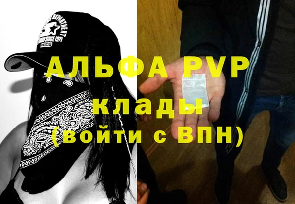 крисы Богородицк