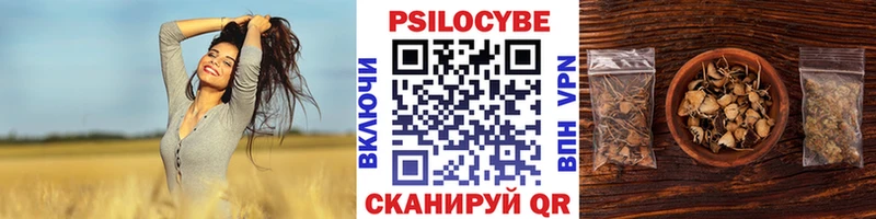 наркота  Добрянка  Галлюциногенные грибы Magic Shrooms 
